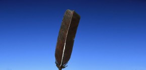 Connells Bay Sculpture Park - Paul Dibble "Feather Weight"