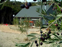 Booklovers_Cottage_with_olives_002.jpg